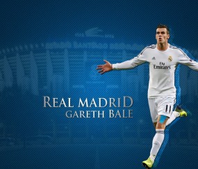 开云下载用户反馈分析深度分析